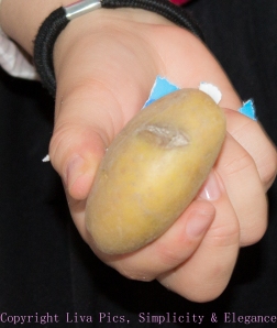 Fop- aardappel